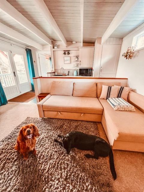 Blankednick Boltholes - 3 Beautiful Family Or Couples Cornish Getaways Villa Truro Eksteriør billede